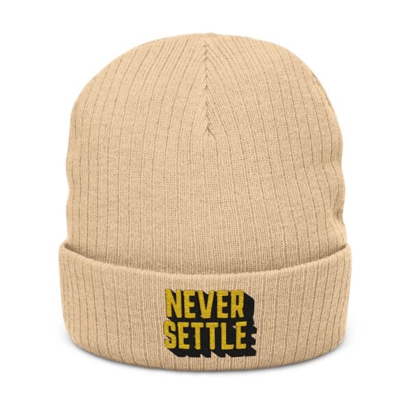 Embroidered Ribbed Beanie - casualwear, Control Freak Gift, Cold Weather Accessory, Trendy Streetwear, Unisex Beanie, LGBTQIA - Image 3