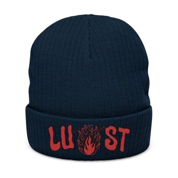 Embroidered Ribbed Beanie - casualwear, Control Freak Gift, Cold Weather Accessory, Trendy Streetwear, Unisex Beanie, LGBTQIA - Image 5