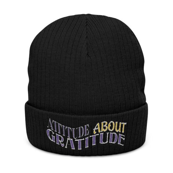 Embroidered Ribbed Beanie - casualwear, Control Freak Gift, Cold Weather Accessory, Trendy Streetwear, Unisex Beanie, LGBTQIA