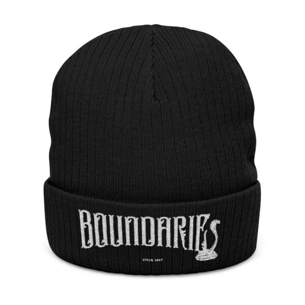 Embroidered Ribbed Beanie - casualwear, Control Freak Gift, Cold Weather Accessory, Trendy Streetwear, Unisex Beanie, LGBTQIA