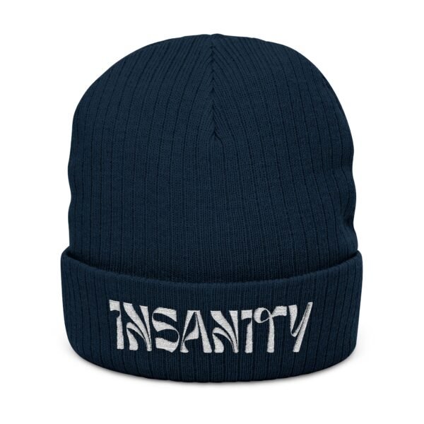 Embroidered Ribbed Beanie - casualwear, Control Freak Gift, Cold Weather Accessory, Trendy Streetwear, Unisex Beanie, LGBTQIA - Image 3
