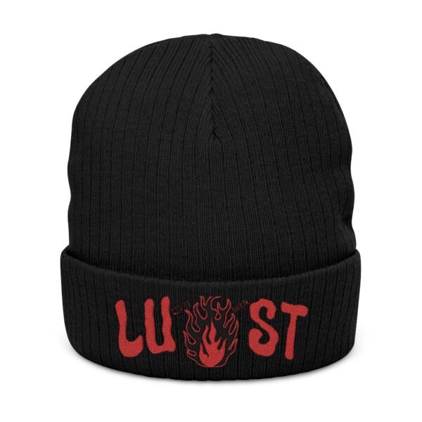 Embroidered Ribbed Beanie - casualwear, Control Freak Gift, Cold Weather Accessory, Trendy Streetwear, Unisex Beanie, LGBTQIA